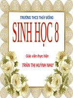 Bài giảng thao giảng sinh học 8 tuyến sinh dục (2) 