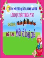 Bài giảng lớp Mầm chủ đề Thế giới thực vật