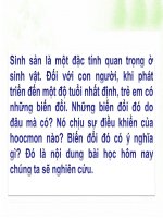 Bài giảng thao giảng sinh học 8 tuyến sinh dục (4) 