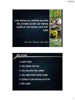 CHUYÊN ĐỀ:LOÀI NGOẠI LAI: NHỮNG NGUYÊN TẮC CƠ BẢN VÀ BẤT CẬP TRONG QUẢN LÝ LOÀI NGOẠI LAI Ở VIỆT NAM