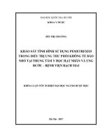 Khảo sát tình hình sử dụng pemetrexed trong điều trị ung thư phổi không tế bào nhỏ tại Trung tâm Y học hạt nhân và Ung bướu - Bệnh viện Bạch Mai