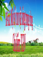 Bài giảng lớp Lá chủ đề Thế giới động vật