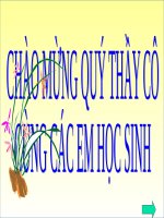BÀI GIẢNG TÌNH HÌNH VĂN HÓA Ở CÁC THẾ KỈ XVI - XVIII