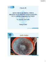 Chuyên đề: KÍCH THÍCH SỰ PHÓNG THÍCH PROTEIN NOÃN HOÀNG (VITELLOGENIN) Ở CÁ CHÌNH (A. japonica) TẠI NHẬT