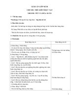 Giáo án lớp mầm tuần 25 chủ đề tết và mùa xuân 