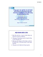 CHUYÊN ĐỀ:Tổng quan các nghiên cứu kỹ thuật nuôi trồng và ứng dụng rong nho (Caulerpa lentillifera) trong đời sống và nuôi trồng thủy sản