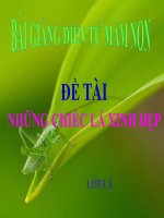 Bài giảng điện tử mầm non đề tài KPKH những chiếc lá xinh đẹp (lớp lá) 