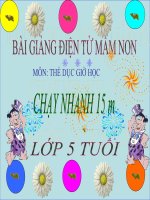 Bài giảng điện tử mầm non đề tài thể dục chạy nhanh 15m (lớp lá) 