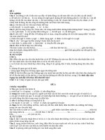 CÁC đề KIỂM TRA CUỐI năm văn 6  HẰNG 