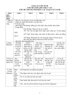 Giáo án lớp mầm tuần 24 chủ đề cây xanh 