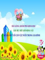 Bài giảng lớp Lá chủ đề Thế giới động vật