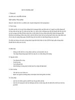 CTXH VS NN mo ta TH gia dinh ngheo DP hang phuc