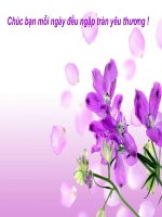 Chieu toi  Ho Chi Minh- THUONG