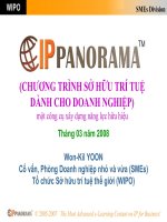 (Chương Trình Sở Hữu Trí Tuệ Dành Cho Doanh Nghiệp) Một Cong Cụ Xay Dựng Nang Lực Hữu Hiệu