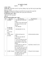 giáo án tự nhiên xã hội tuần  32 