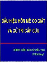 Hôn mê co giật và xử lý cấp cứu   tải free tại book.quangtuyen.net