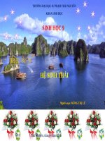 Bài giảng sinh 9 hệ sinh thái (2) 