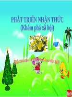 Bài giảng lớp Mầm chủ đề Thế giới thực vật