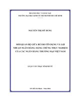 Mối quan hệ giữa rủi ro tín dụng và lợi nhuận ngân hàng bằng chứng thực nghiệm của các ngân hàng thương mại việt nam 