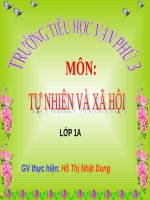 giáo án tự nhiên xã hội bài công việc ở nhà 