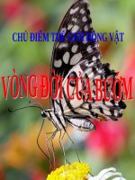 Bài giảng lớp Lá chủ đề Thế giới động vật