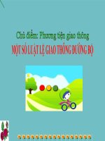 Bài giảng lớp Mầm chủ đề Bé tìm hiểu luật giao thông