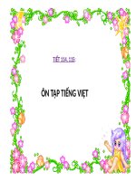 Ngữ văn 11 : Ôn tập tiếng Việt