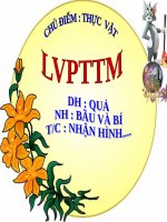 Bài giảng lớp Mầm chủ đề Thế giới thực vật