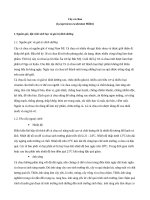 QUY TRINH SAN XUAT CAY CA CHUA (lycopersicon esculentum miller) THEO GAP 