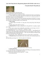 Quy trình trồng khoai tây bằng phương pháp làm đất tối thiểu có phủ rơm rạ