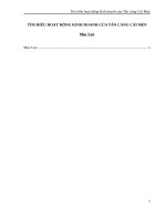 TÌM HIỂU HOẠT ĐỘNG KINH DOANH CỦA TÂN CẢNG CÁI MÉP