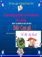 sơ lược về môn lịch sử   lịch sử 6 (5) 