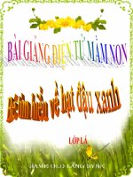 Bài giảng điện tử mầm non đề tài bé tìm hiểu về hạt đậu xanh (lớp lá) 