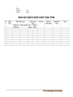 Mau ke hoach kiem soat qua trinh 