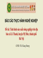 Power point Tình hình sản xuất nông nghiệp trên địa bàn xã Lê Thanh, huyện Mỹ Đức, thành phố Hà Nội