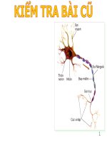 BÀI GIẢNG TRUYỀN TIN QUA XiNAP