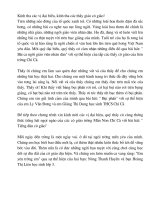 Dan chuong trinh van nghe 20-11