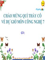 BÀI GIẢNG LUÂN CANH, XEN CANH, TĂNG VỤ