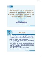 CHUYÊN ĐỀ: Ảnh hưởng của việc bổ sung bột tảo Spirulina vào thức ăn phối chế lên lên tỉ lệ sống, tăng trưởng, vòng đời và các chỉ tiêu sinh sản của Artemia