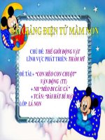 Bài giảng điện tử mầm non đề tài dạy hát con mèo   con chuột (lớp lá) 