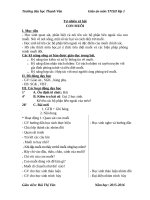 giáo án tự nhiên xã hội bài 28 