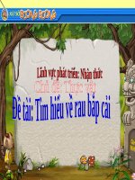 Bài giảng lớp Mầm chủ đề Thế giới thực vật