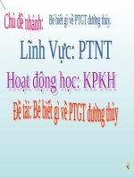 Bài giảng lớp Lá chủ đề Phương tiện giao thông đường thủy