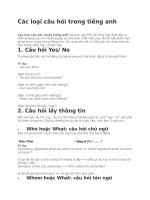 Các dạng câu hỏi trong tiếng anh