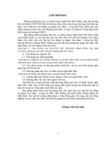 Bài giảng phương pháp dạy học và huấn luyện nghi thức đội thiếu niên tiền phong hồ chí minh 