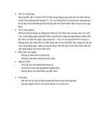 CTXH VS NN mo ta TH gia dinh ngheo DP khanh ly