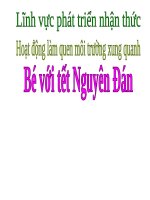 Bài giảng lớp Mầm chủ đề Thế giới thực vật