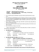 BM07 QT06 mau hop dong thi cong ep tinh coc 