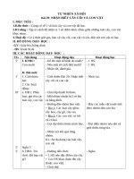 giáo án tự nhiên xã hội tuần  29 