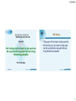 CHUYÊN ĐỀ:Ảnh hƣởng của thu hoạch và bảo quản tảo lên sự phát triển của quần thể luân trùng Brachionus plicatilis